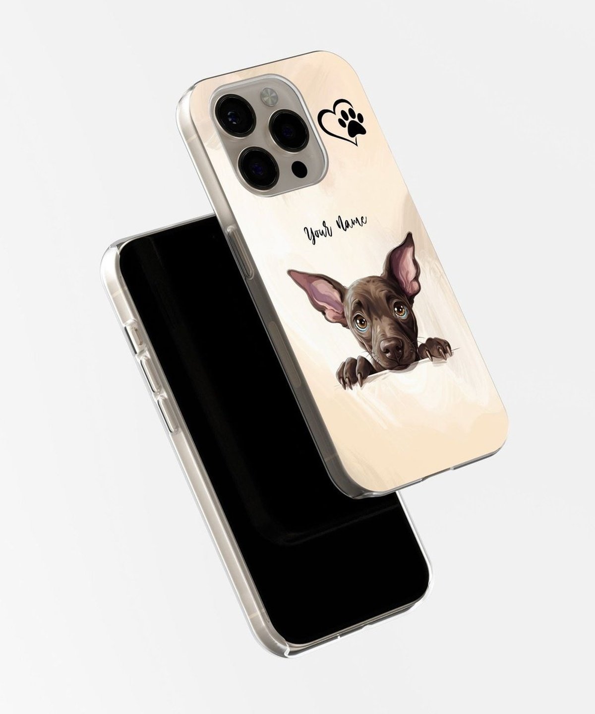 Xoloitzcuintli Dog Phone Case