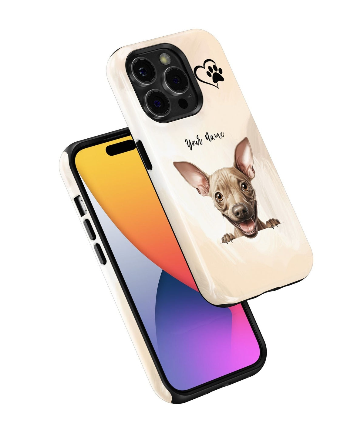 American Hairless Terrier Dog Phone - iPhone