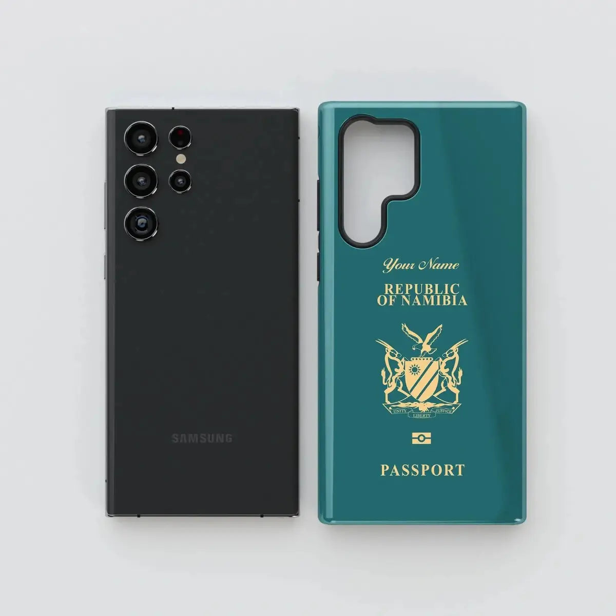 Namibia Passport - Samsung Galaxy S Case