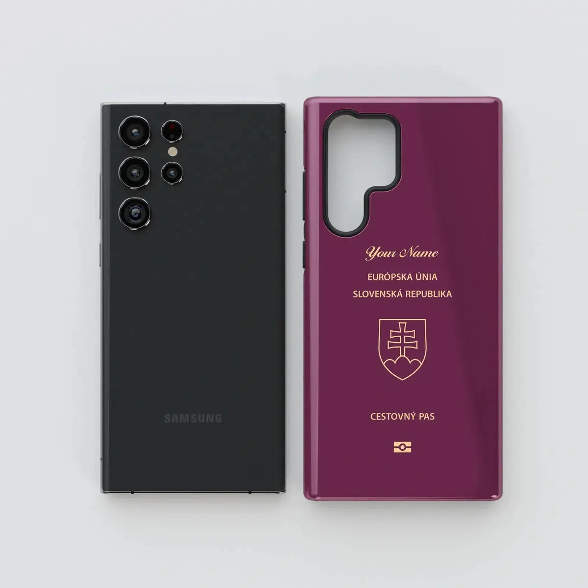 Slovakia Passport - Samsung Galaxy S Case