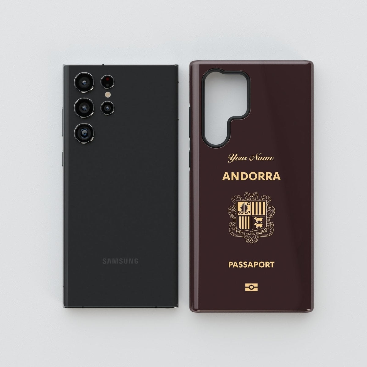 Andorra Passport - Samsung Galaxy S Case