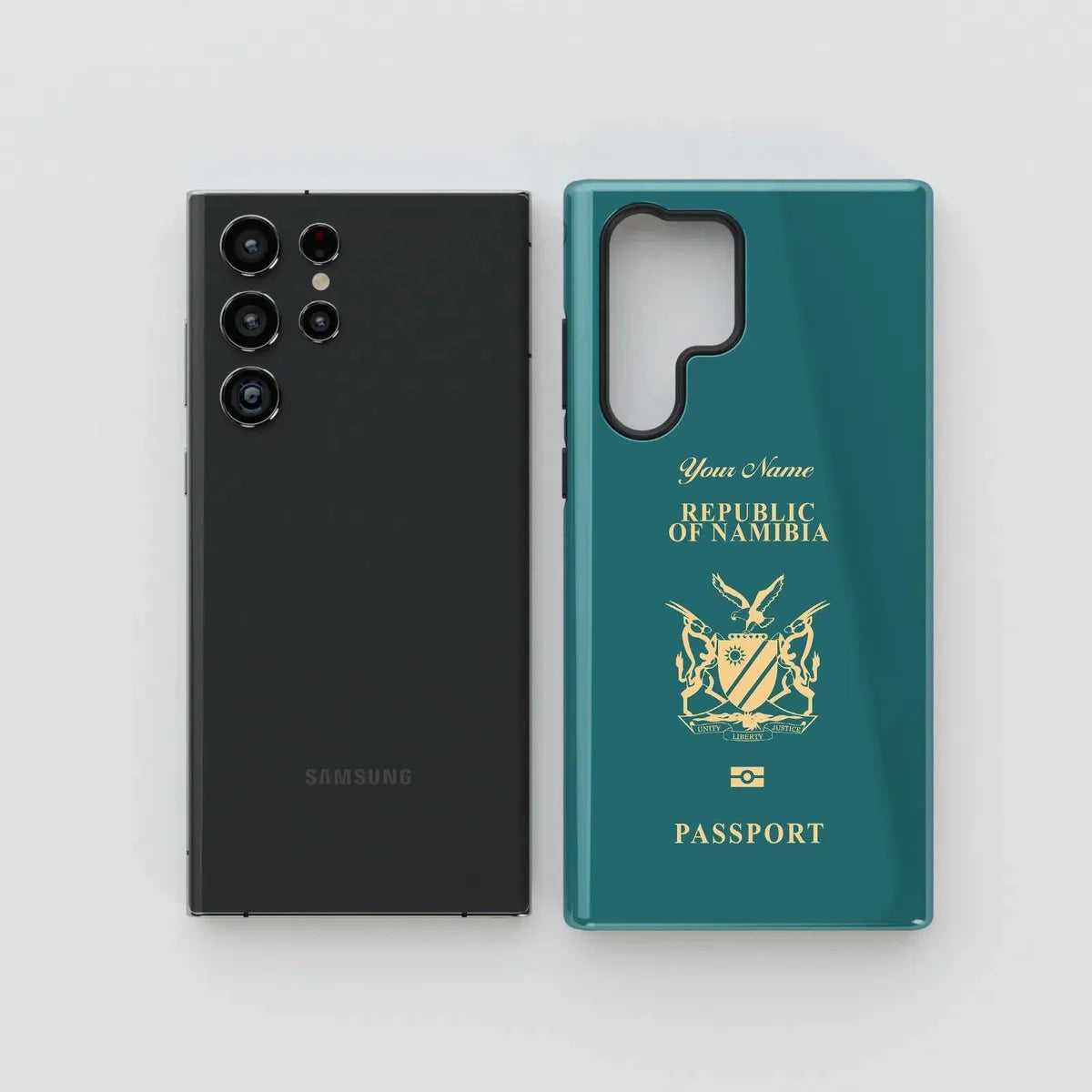 Namibia Passport - Samsung Galaxy S Case